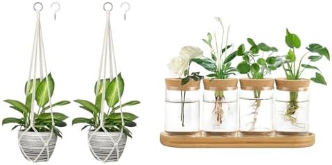 Dahey Macrame Plant Hanger Indoor and 4 Pcs Plant Propagation Stations for Indoor Plants Centerpiece Tabletop Home Office Garden Decor by Dahey