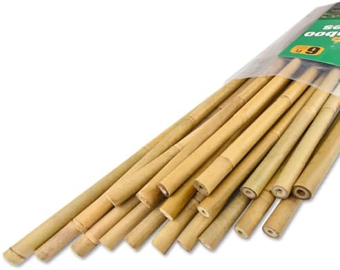 Jollybower 20pcs 5/8" D Thicker Heavy Duty Bamboo Stakes, 6FT Plant Stakes, Natural Garden Stakes for Tomato, Bean, Flowers,Trees Potted and Climbing Plant Support by Jollybower