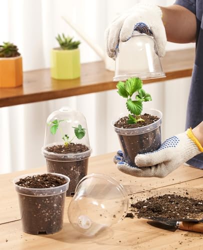 homenote 5 Inch Clear Nursery Pots with Humidity Domes and Labels (15 Pcs) - Image 3