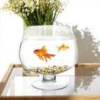 POPETPOP Bowl Glass Vase Clear Bubble Bowl Goblet Shaped Plant Terrarium Goldfish Bowl for Home Office Tabletop Decor, 21.00X21.00X21.00CM, Transparent - Image 4