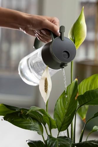 Fiskars Plant Care Mist & for Watering Can - Image 5