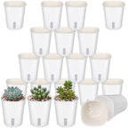 Ziliny 20 Pcs 3.74 Inch Self Watering Planters with Water Indicator by Ziliny