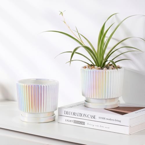 Pearl Plant Pots, Ceramic Flower Pots with Drainage Holes & Saucer Set of 2 - Image 5