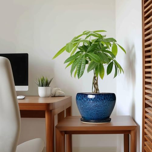8 Inch Plant Pot - Ceramic Planter for Indoor Plants Outdoor, Round Planter with Drainage Hole and Saucer, Modern Decorative Flower Pots, Home Office Room Decor, Plant Lovers Gifts, Blue - Image 5