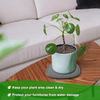 6 8 10 Inch 6 Pack Diatomite Plant Saucers for Indoors, Plant Drip Tray - Image 5