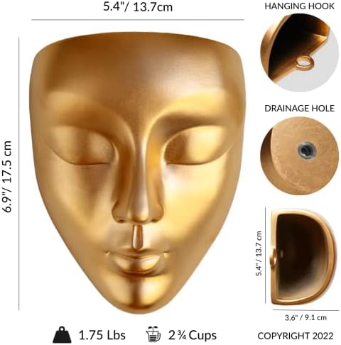Face Wall Planter | 7 Colors Available | Unique Head Planter for Indoor Wall Decor | Perfect as a Succulent Wall Planter or Cactus Planter - Calma Design, Gold - Image 4