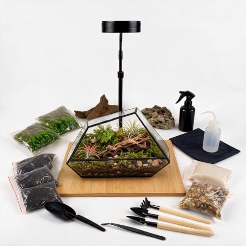 Luckyrunes Complete Glass Terrarium Kit with Live Moss, Polygon by LUCKYRUNES
