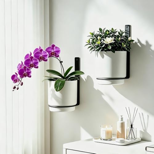 2 Pcs Wall Mounted Hanging Planter Vase for Indoor Outdoor Plants,Modern Metal Wall and Ceiling Hanging Flower Pot with Removable Flower Pot,Minimalist Decor for Herbs Succulents Flowers,6.7Inch,White by Unknown