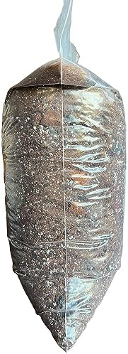 Hoya Classic Potting Soil - rePotme Houseplant Potting Soil Mix (Junior Bag - 4 Quarts) - Image 2