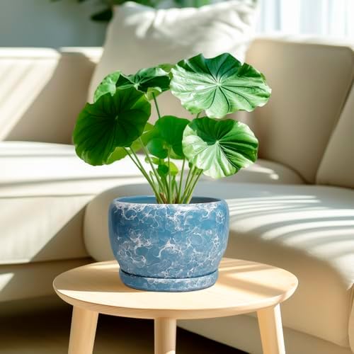 SQOWL Ceramic Pots for Plants - 8 Inch Ceramic Planter for Indoor Outdoor, Decorative Flower Pot with Drainage Hole and Saucer, Round Planter, Home Living Room Bathroom Decor, Plant Lover Gifts, Blue - Image 2