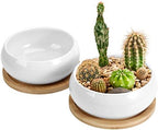 ZOUTOG Succulent Pots, White Mini 3.15 inch Ceramic Flower Planter Pot with Bamboo Tray, 6 inch Ceramic Planters for Indoor Plants, Plants Not Included - Image 6