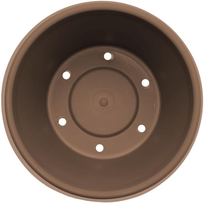 Bloem Terra Pot Planter: 12" - Chocolate Brown - Durable Resin Pot, for Indoor and Outdoor Use, Gardening, 3.5 Gallon Capacity, Saucer Sold Separately - Image 3