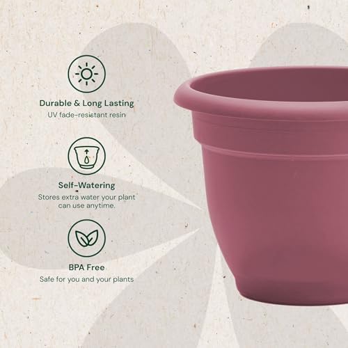 Bloem Ariana 16" Plastic Self-Watering Planter, Dusty Rose, 2-Pack - Image 3