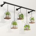 Window Plant Hanger Indoor, 80 Inch Heavy Duty Plant Hanging Rod by Unknown