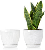 6.5" Ceramic Plant Pots Set of 2, Crisp White Embossed Planters with Saucer by Sureasy