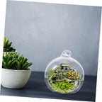 12pcs Glass Globe Terrarium for Plants and Moss Micro Landscapes - Image 5