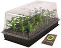 Super Sprouter Propagation Kit w/ 7" Dome - Green, 10" x 20" x 7" by Unknown