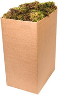 SuperMoss (21704) Forest Moss Dried, Natural, 10lbs by SuperMoss