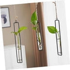 3pcs Glass Wall Hanging Propagation Tubes for Indoor Plants Xmas - Image 7