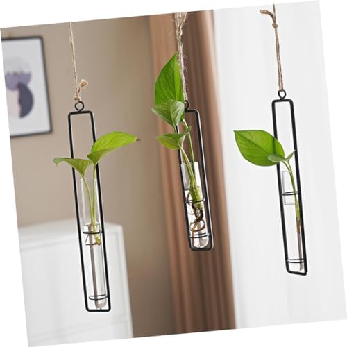 3pcs Glass Wall Hanging Propagation Tubes for Indoor Plants Xmas - Image 7
