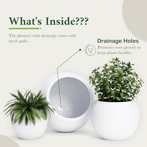 DTY Premium Mt Sherman Fiberstone Sphere Planter for Indoor Outdoor Use, Round Pot for Olive Tree, Lightweight, Smooth Finishes. 2 Extra Coco Mats. White, Large 21.1'' D x 16.7'' H. 14.6” Pot Opening - Image 3
