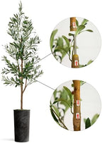 Artificial Tree in Optional Designed Pot, Fake Olive Silk Tree for Indoor and Outdoor Home Decoration - 68" Overall Tall (Plant Pot Plus Tree) - Image 6