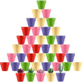 Tioncy 50 Pcs 2 Inch Mini Terracotta Pots, Colored Clay Succulent Pots by Tioncy
