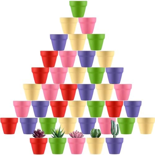 Tioncy 50 Pcs 2 Inch Mini Terracotta Pots, Colored Clay Succulent Pots by Tioncy