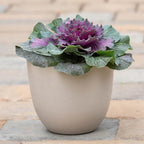Root & Vessel Bola Round Planter, Self-Watering Outdoor & Indoor Planters, Shimmery Metallic Finish, Eco-Friendly Organic Fiber & Plastic Material, Bone White, 9" - Image 2
