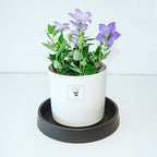 Plant Saucer Tray for Ceramic Plastic Pots, 20 inch Plant Saucers for Indoors, Pot Saucers Trays, Bird Bath Bowls, Flower Planter Water Drip Trays for Pots Base (20", Black) - Image 3