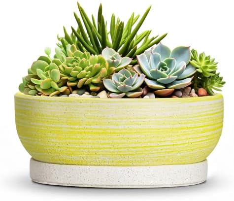 Pots for Succulents, 8 Inch Ceramic Bonsai Tree Pot, Brushed Yellow by Unknown