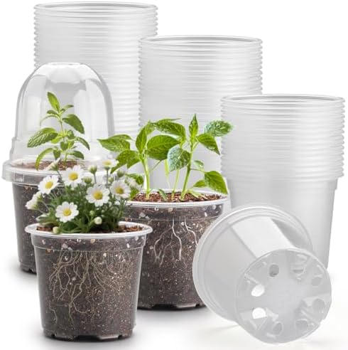 RooTrimmer 60 Pack Clear Nursery Pots with Humidity Domes, 4 Inch Plastic Plant Pots with Drainage Holes for Seedlings, Transparent Seed Starting Pot for Cuttings Propagation Indoor Gardening by RooTrimmer