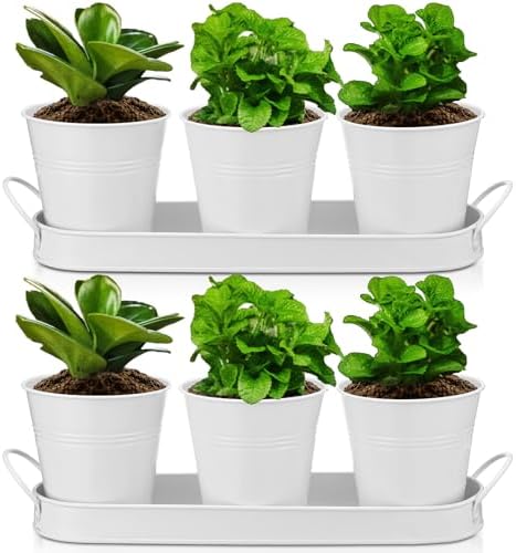Hicarer 2 Sets Herb Planter with Tray Metal Herb Garden Planter with Drainage Farmhouse Windowsill Pots for Indoor Plants Flower Succulent Outdoor Kitchen Apartment Balcony Window (White) by Hicarer