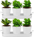 Hicarer 2 Sets Herb Planter with Tray Metal Herb Garden Planter with Drainage Farmhouse Windowsill Pots for Indoor Plants Flower Succulent Outdoor Kitchen Apartment Balcony Window (White) by Hicarer
