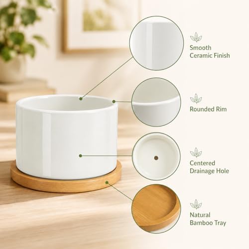 ZOUTOG 12 PCS 3.6" Ceramic Succulent Pots,White Planter with Drainage Tray - Image 4