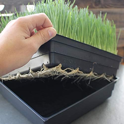 Handy Pantry 10-Pack 1020 Garden Growing Trays Without Drain Holes 10" x 20 - Image 4