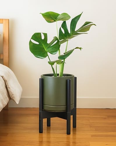 D'vine Dev Ceramic Pot with Ebony Wood Stand, Olive, 8 in, 55-B-M-J - Image 4