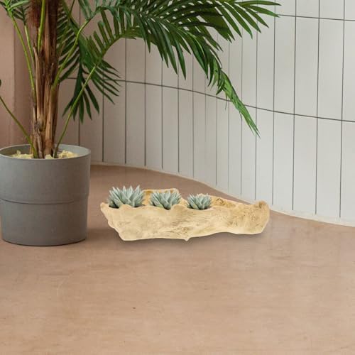 DOITOOL Tree Root Succulent Plant Pot Resin Planter Pot 13.38 X 4.72 X 3.54 in Garden Flower for Succulents Desk Balcony Patio Home Decor - Image 4