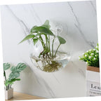 Happyyami 4pcs Wall-Mounted Glass Planters Globe Propagation Station for Hydroponics Space-Saving Hanging Terrarium Vases for Home and Office Decor - Image 3