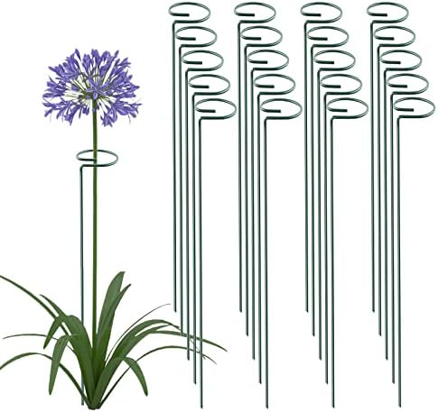 Thealyn 36 Inch 20 Packs Plant Support Stake Garden Single stemmed Plant Support Hoops Plant Prop for Flowers Orchid Tomatoes Peony Lily Rose Gladiolus (36 inch) by ThealynGardens