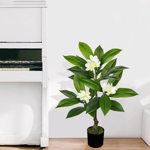 Briful Artificial Plants Indoor 26.77'' Fake Tropical Plumeria Flowers Tree Plants in Black Pot Hawaiian White Plumeria Rubra Faux Frangipani Tree Floor Plant for Home Office Wedding Decor - Image 3
