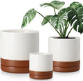 vancasso Ceramic Pots for Plants, Plant Pots for Indoor Plants, 6.25+8.25+10.25 Inch Ceramic Planters, Flower Pots with Drainage Holes, Planters Pot for Indoor House Plant, Set of 3, Khaki by vancasso
