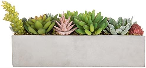 MyGift Faux Succulent Plant Arrangement in 12-Inch Gray Cement Pot - Image 6
