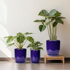 Ceramic Planter - 12 Inch Pots for Plants Ceramic Plant Pot Indoor with Drainage Hole and Saucer Large Planter Flower Pot Outdoor for Home Garden Decor Blue - Image 7