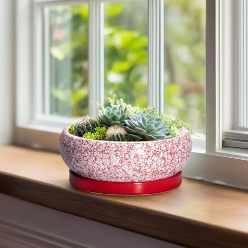 Succulent Pots - 8 Inch Bonsai Pots for Indoor Outdoor, Shallow Ceramic Planter with Drainage Hole and Saucer, Round Flower Succulent Planters, Room Decor, Gifts for Plant Lovers, Red - Image 3