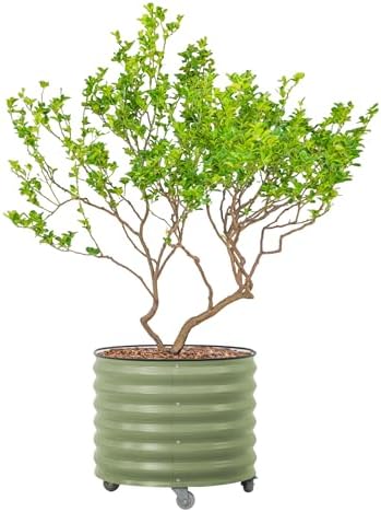 Rolling Metal Citrus Tree Planter Pot, 27″ Round Planter Box for Porch Patio & Backyard, 45 Gallon Large Planter Pot with Wheels for Growing Olive Trees Tomatoes Vegetables and Flowers, Olive Green by Unknown