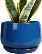 G EPGardening Round Ceramic Plant Pots, 7 Inch Modern Planter, Blue by GEPGardening