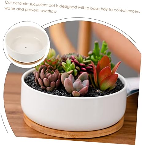 Ceramic Succulent Pot with Tray, White round Planter for Small Plants - Image 5