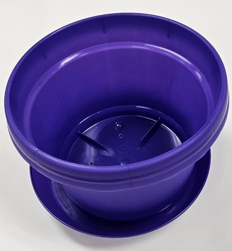Pots and Saucers, 12 inch, Purple, Case of 5 - Image 7