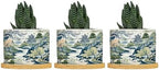 Trend Dragon and Print Ceramic Planters Chinoiserie Asian Inspired Planters for Indoor Plants with Drainage Holes and Saucers Pot for Outdoor Garden Home Plant by BRUYU5SE
